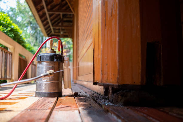 Best Affordable Pest Control Services  in Great Falls, VA
