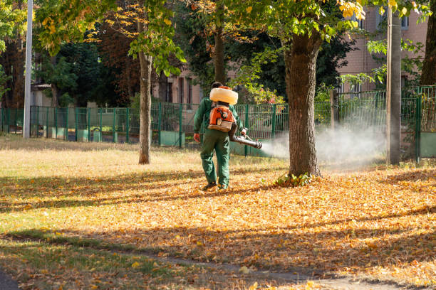 Best Local Pest Control Services  in Great Falls, VA