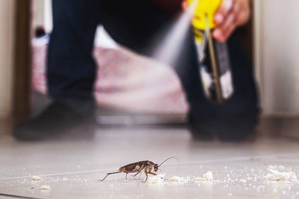 Best Pest Removal Services  in Great Falls, VA