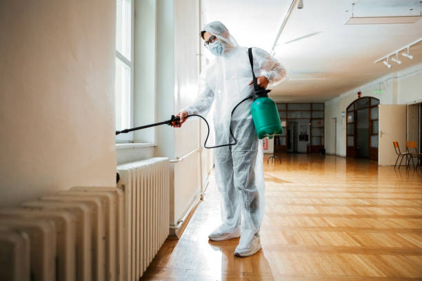 Best Rat Extermination Near Me  in Great Falls, VA